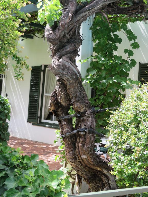 Buiten Verwagten Guest House Graaff Reinet Bagian luar foto